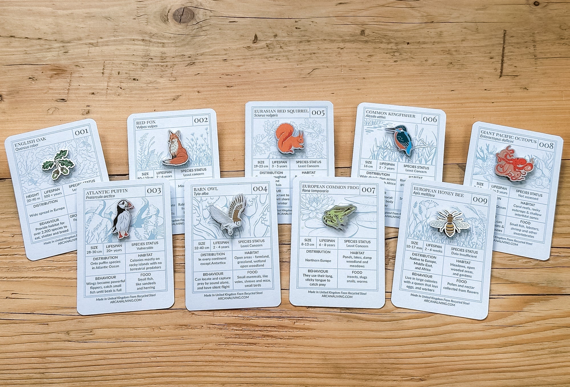 Biodiversity Badges & Charm Pins