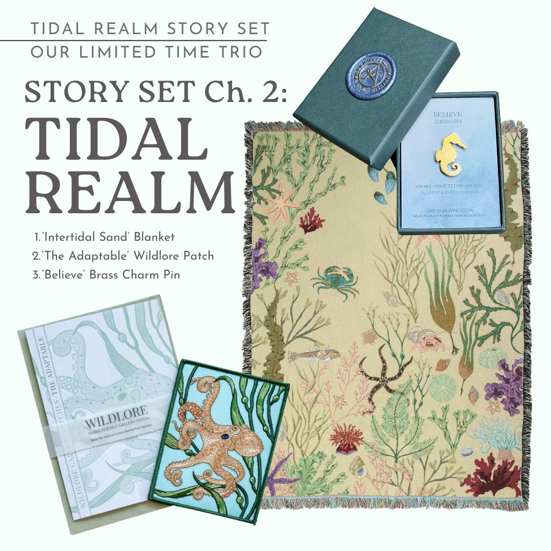 Story Set Ch 2: Tidal Realm