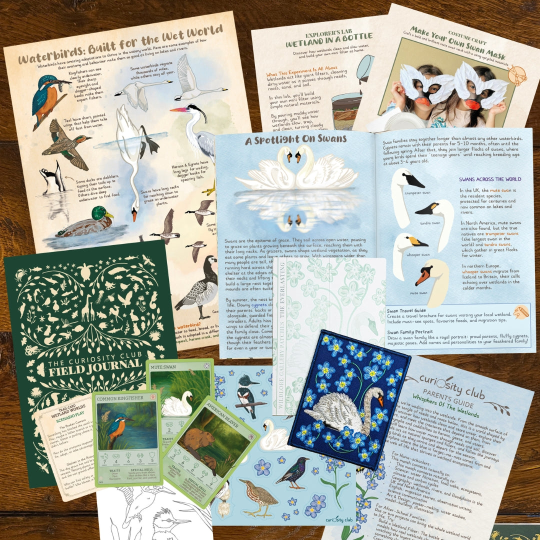 ‘Whispers Of Wetlands’ Box - Curiosity Club