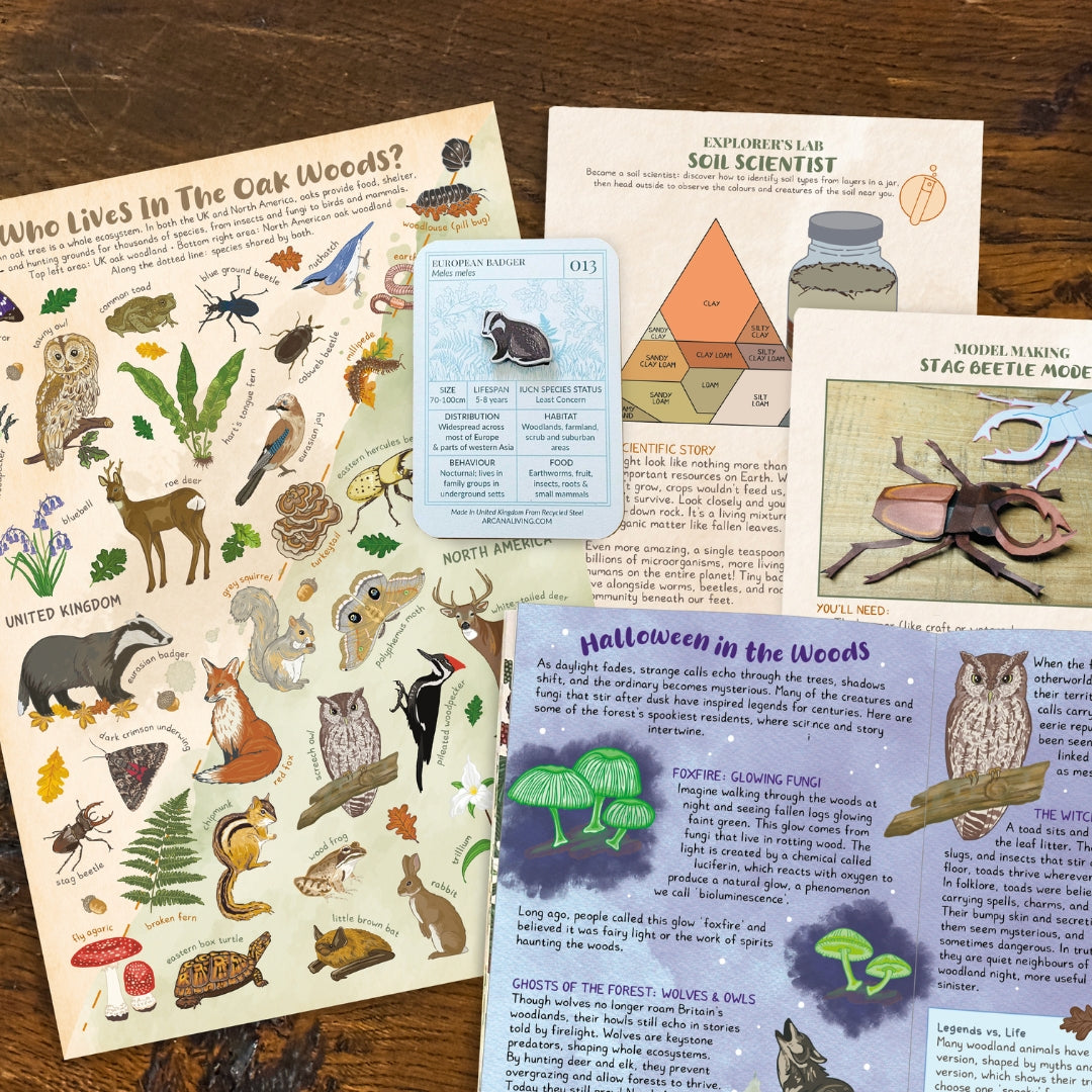 ‘Life Beneath The Leaves’ Box - Curiosity Club