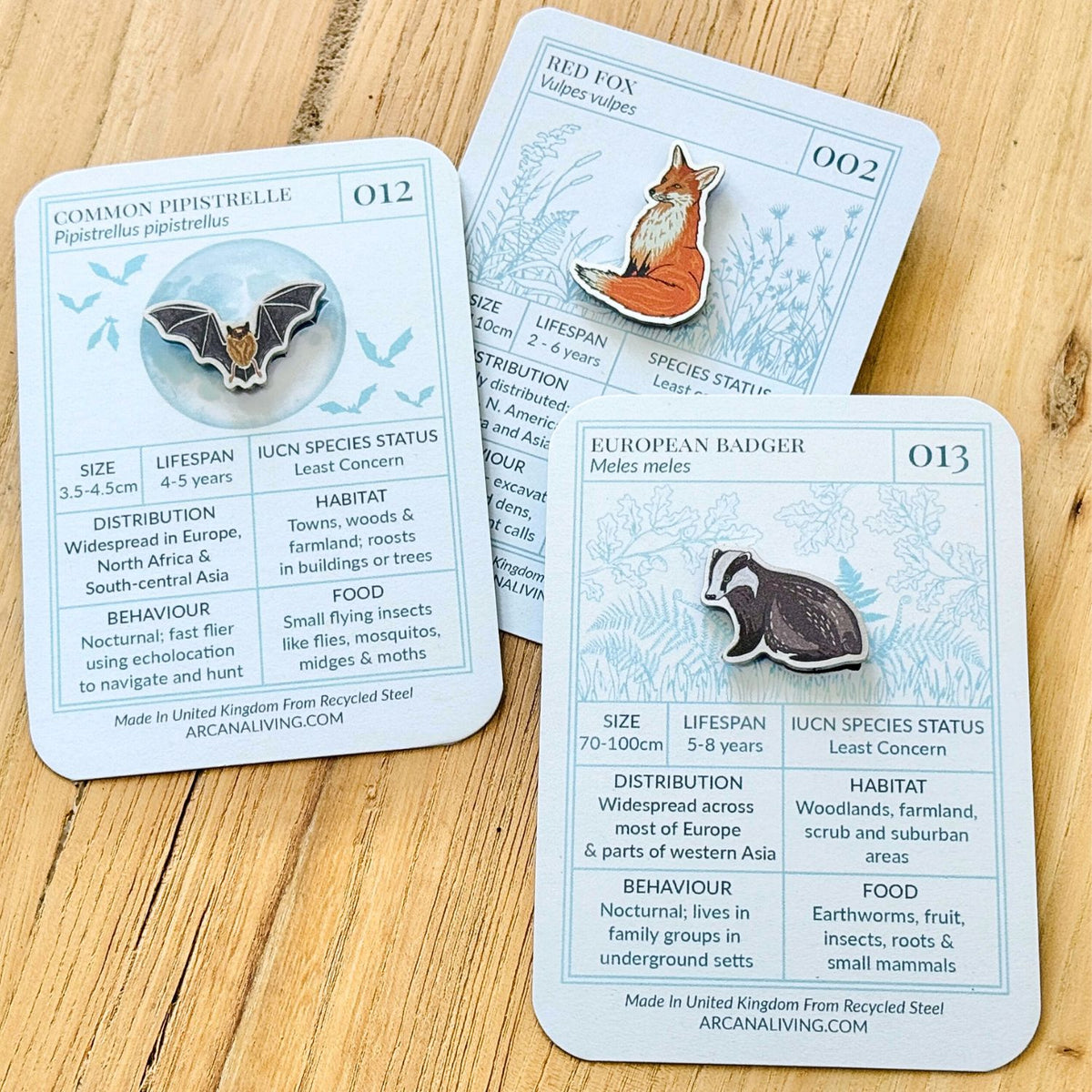 Nocturnal Nature Pin Biodiversity Badge Set