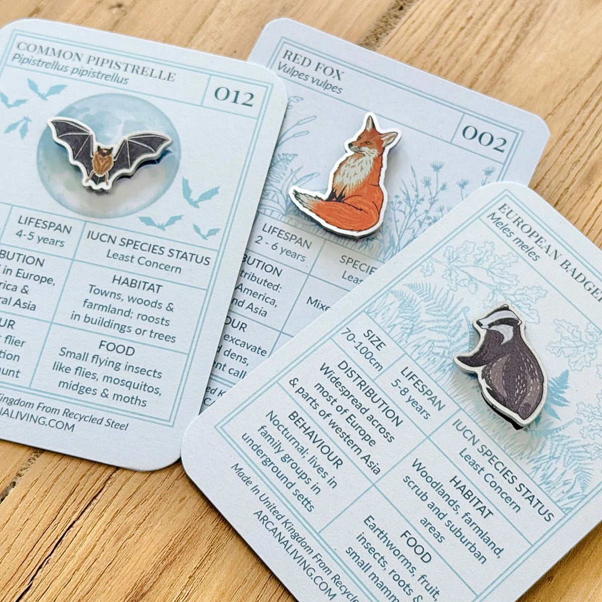 Nocturnal Nature Pin Biodiversity Badge Set
