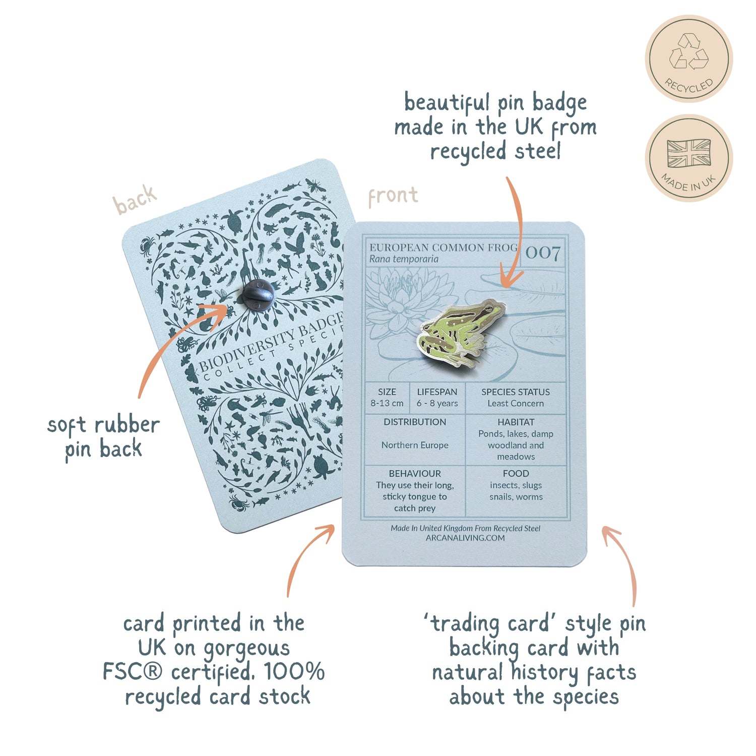 Common Frog Biodiversity Badge