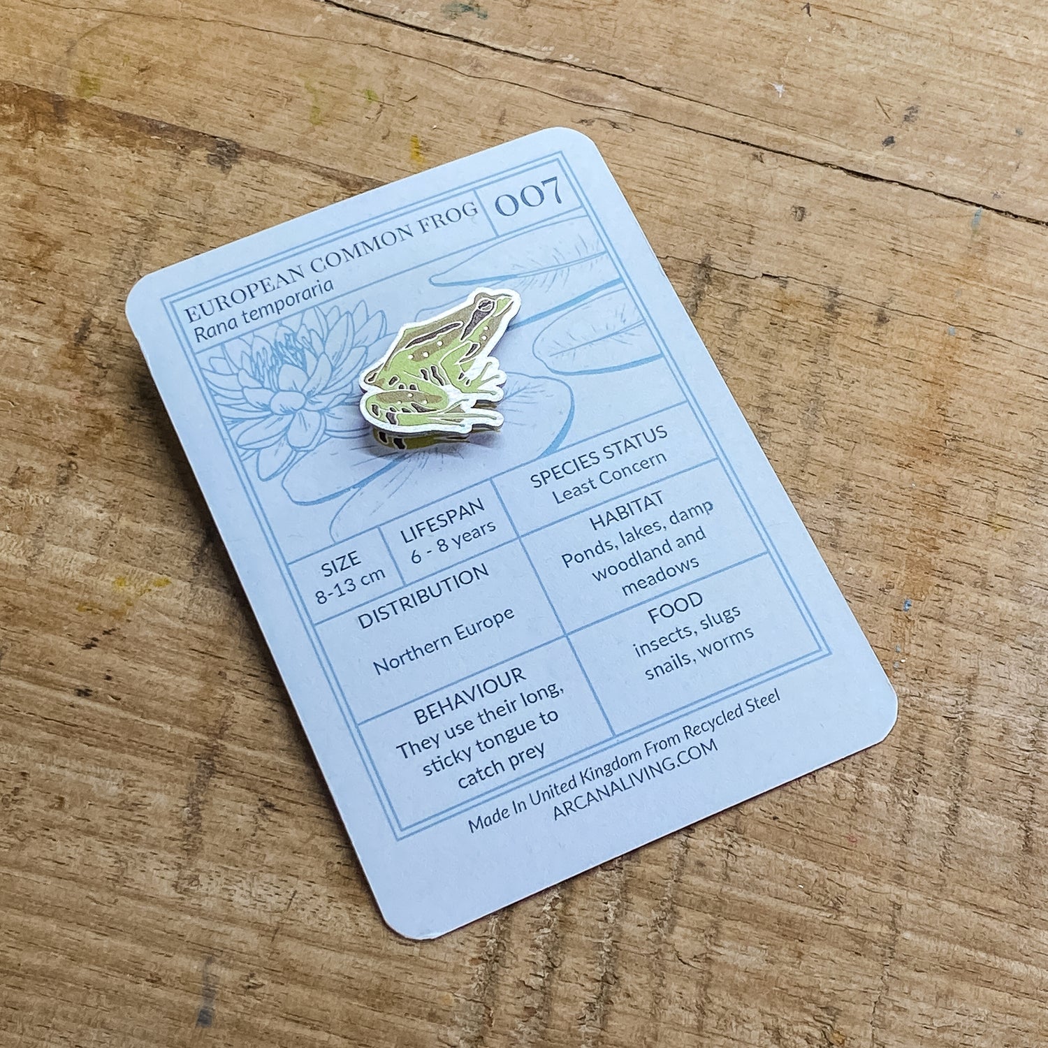 Pond Life Pin Biodiversity Badge Set