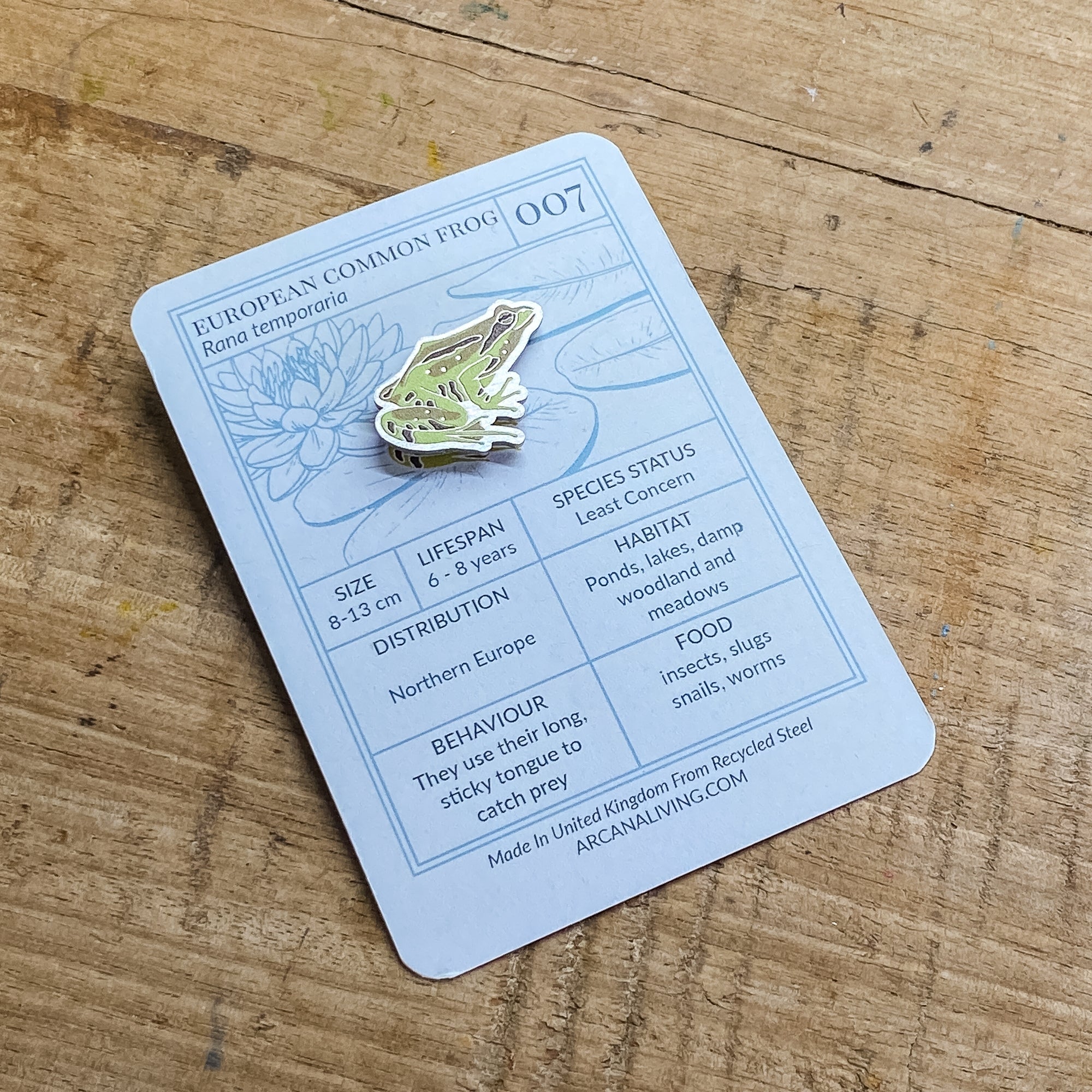 Pond Life Pin Biodiversity Badge Set