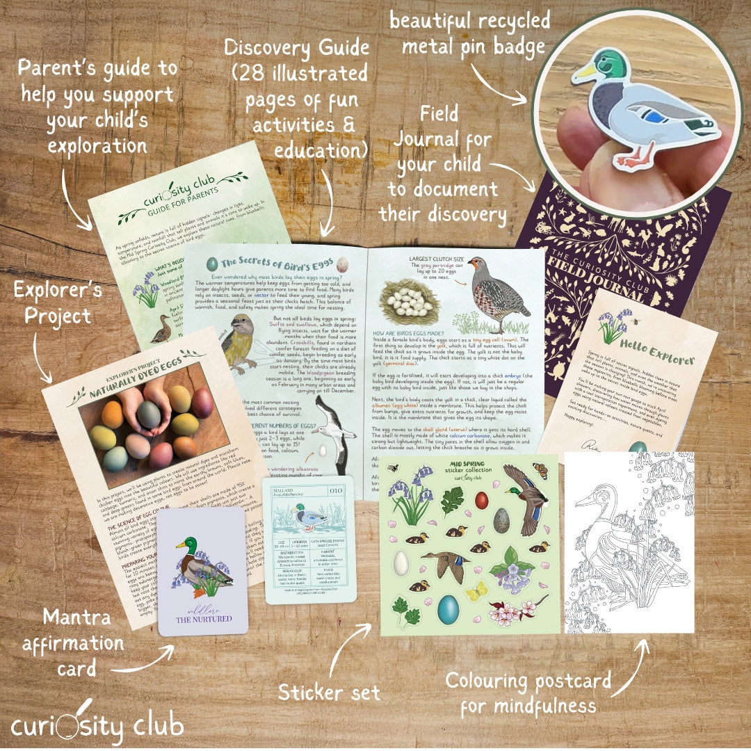 Mid Spring Box - Curiosity Club