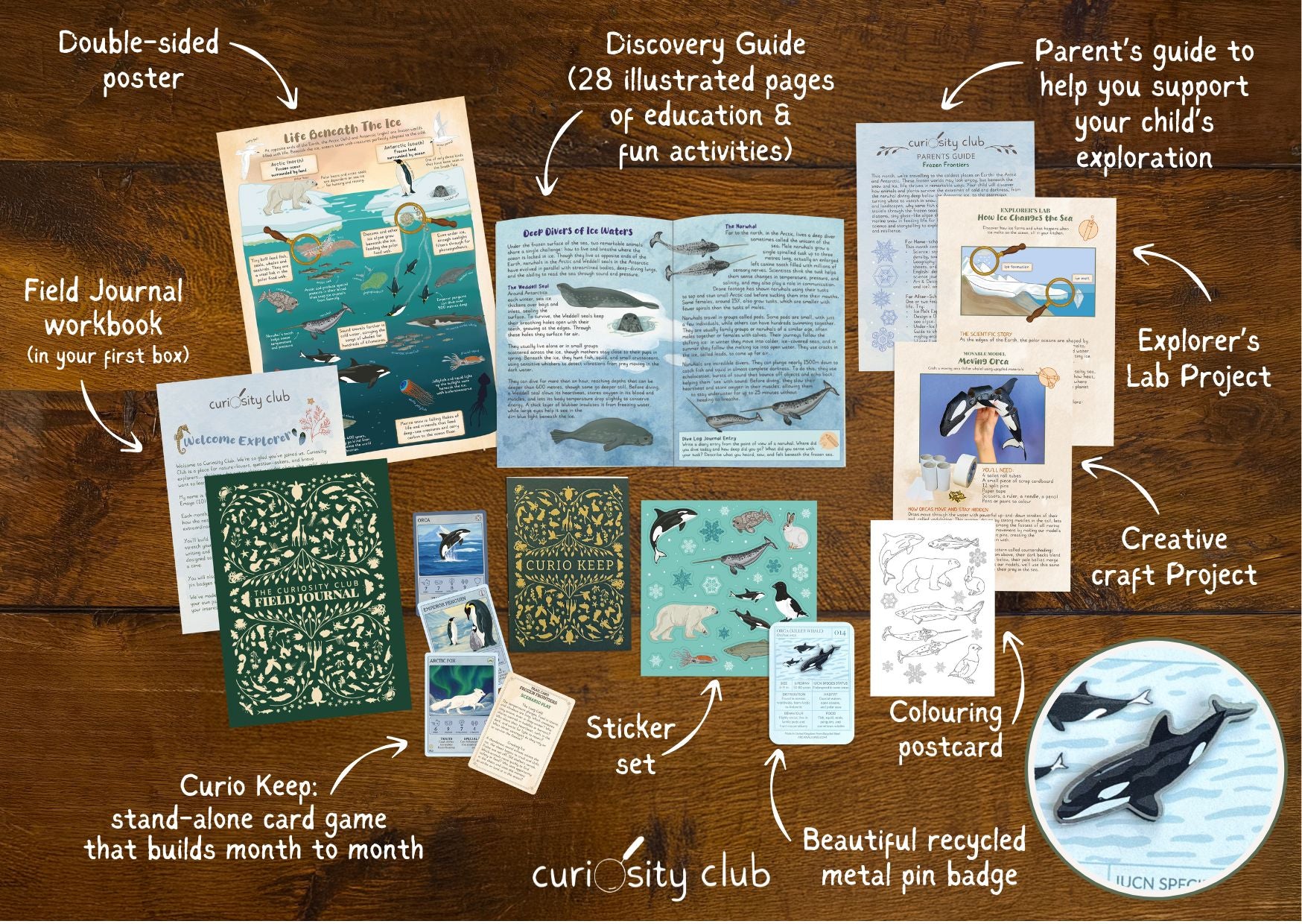 ‘Frozen Frontiers’ - Curiosity Club
