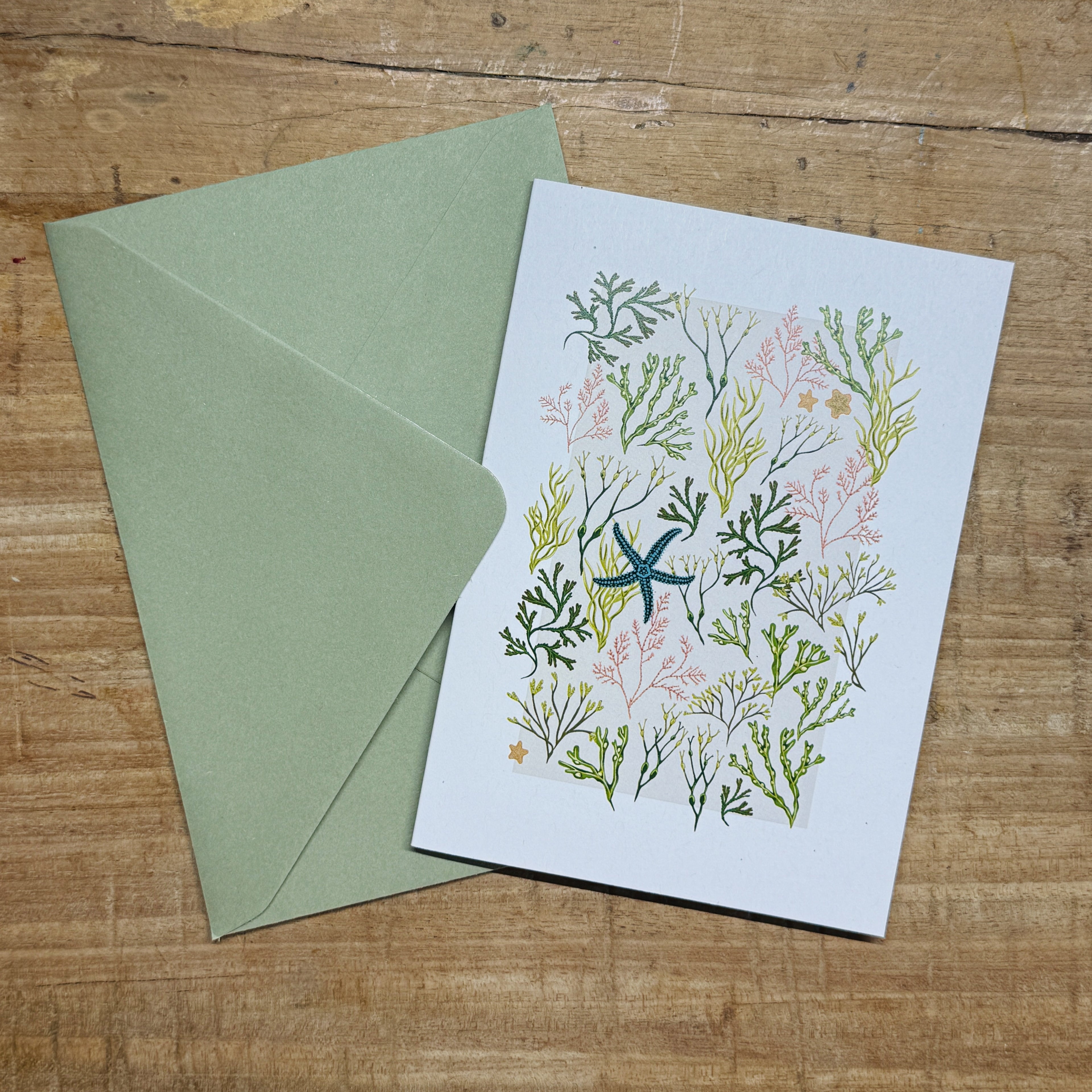 Intertidal Ocean Greetings Card Set