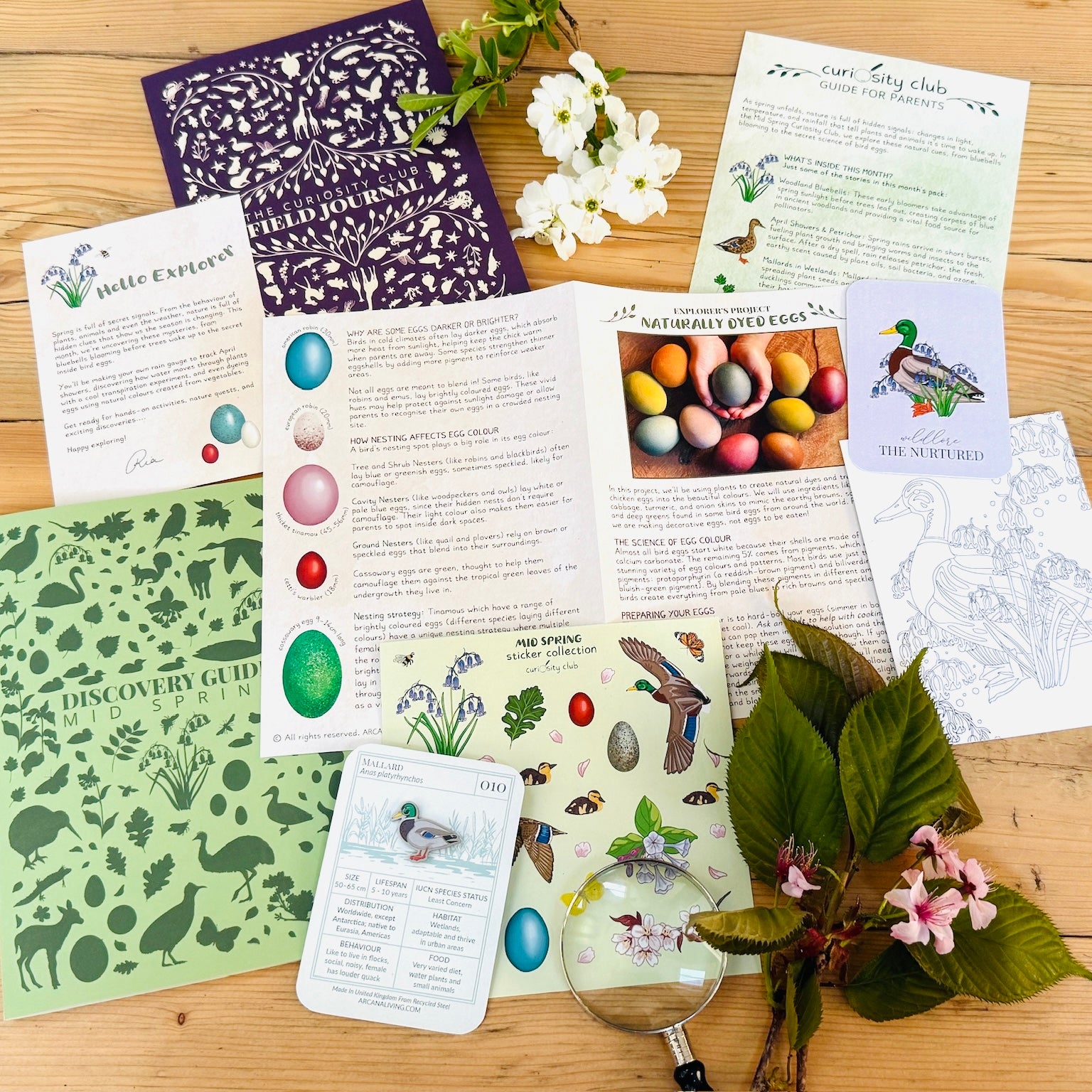 Mid Spring Box - Curiosity Club
