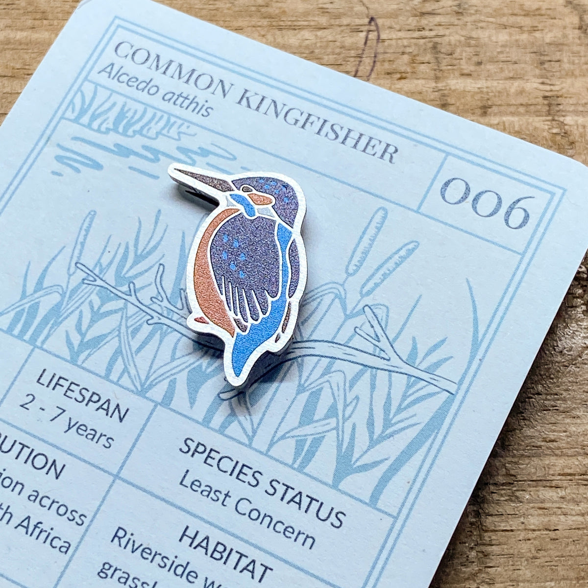 Bird Life Pin Biodiversity Badge Set