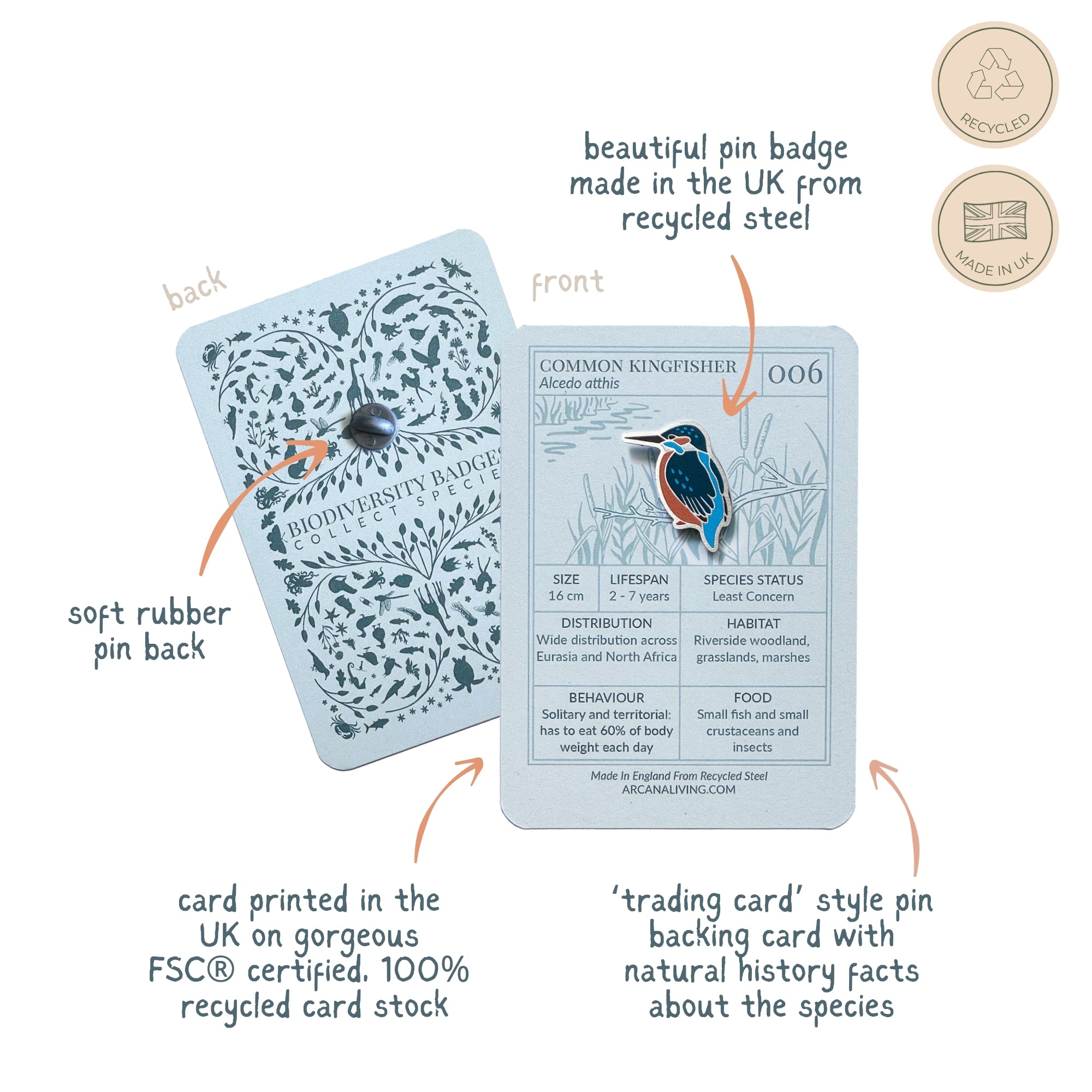 Pond Life Pin Biodiversity Badge Set