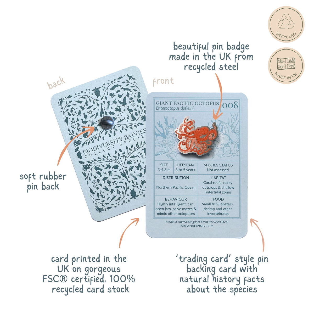 Giant Pacific Octopus Biodiversity Badge