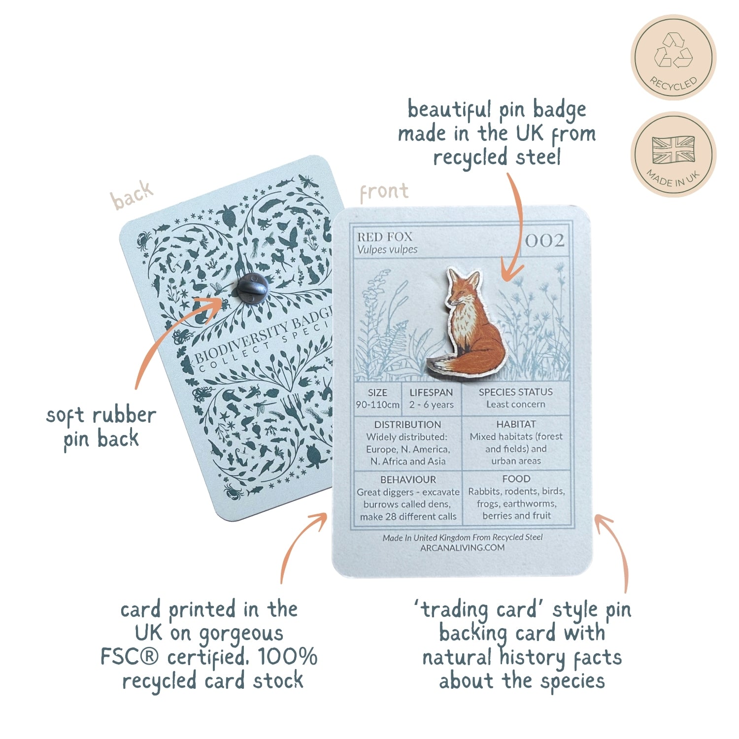 Nocturnal Nature  Pin Biodiversity Badge Set