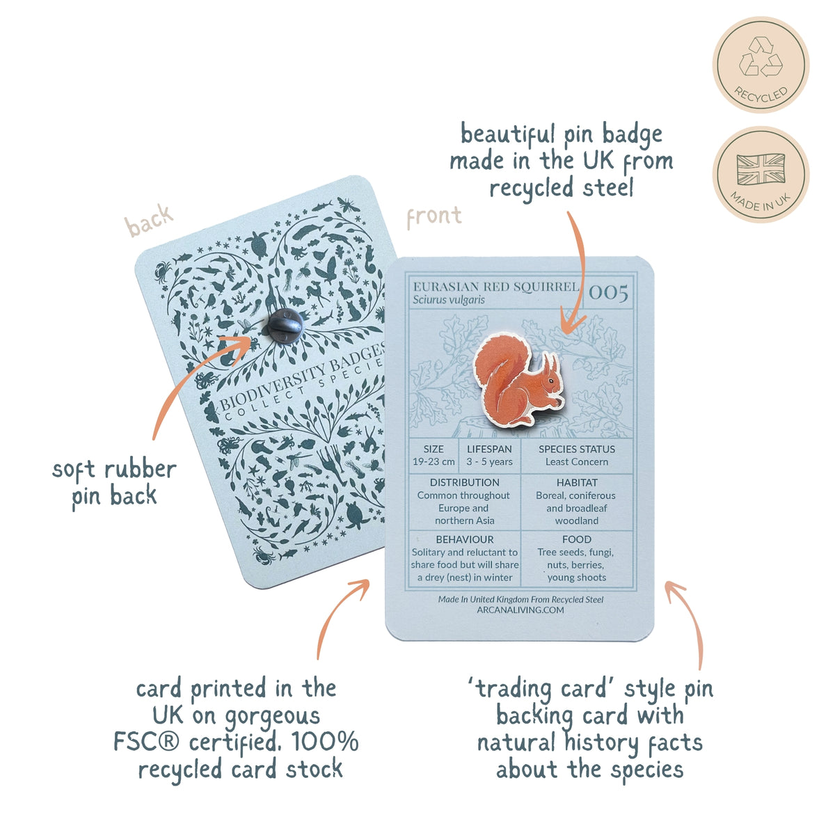 Forest Friends Pin Biodiversity Badge Set
