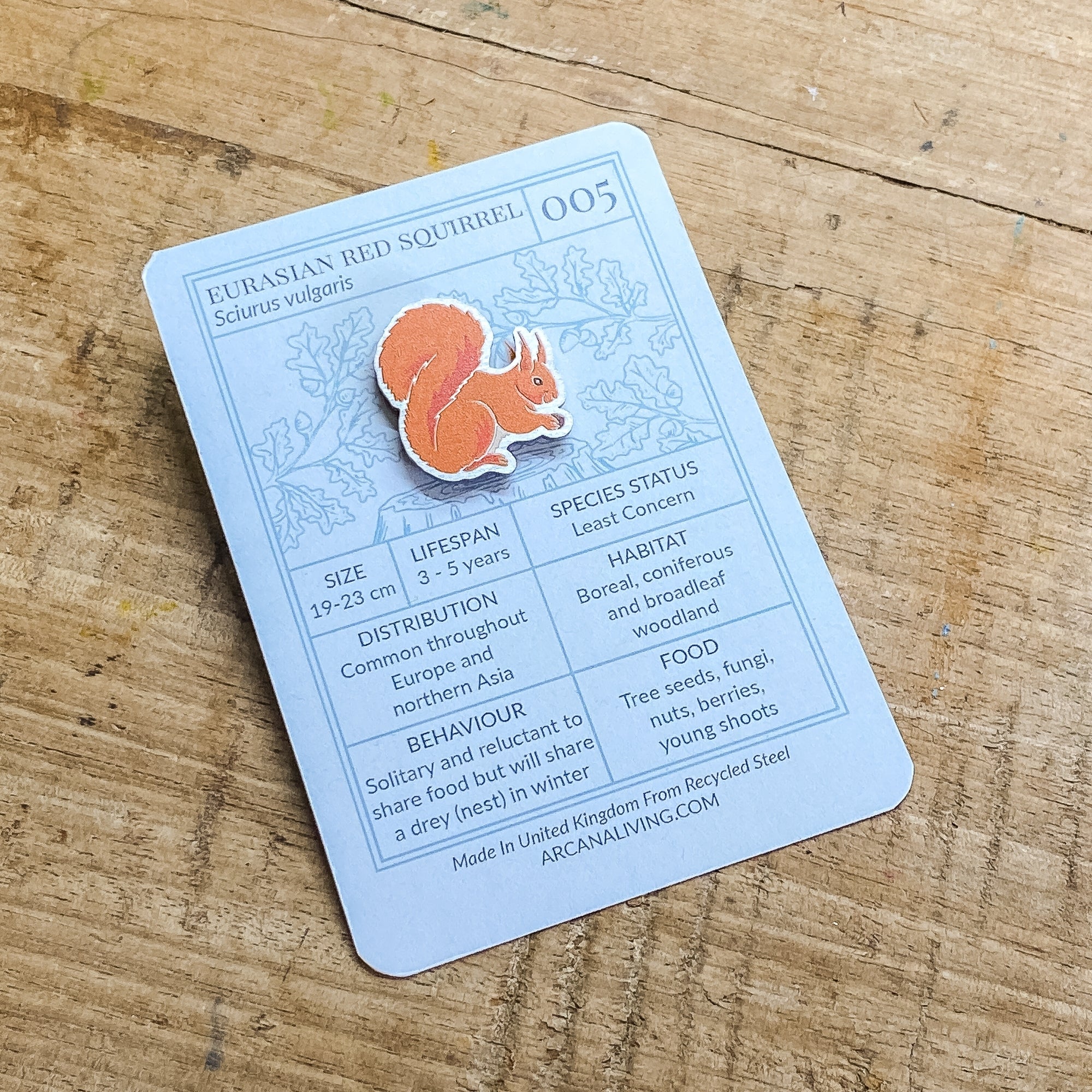 Forest Friends Pin Biodiversity Badge Set