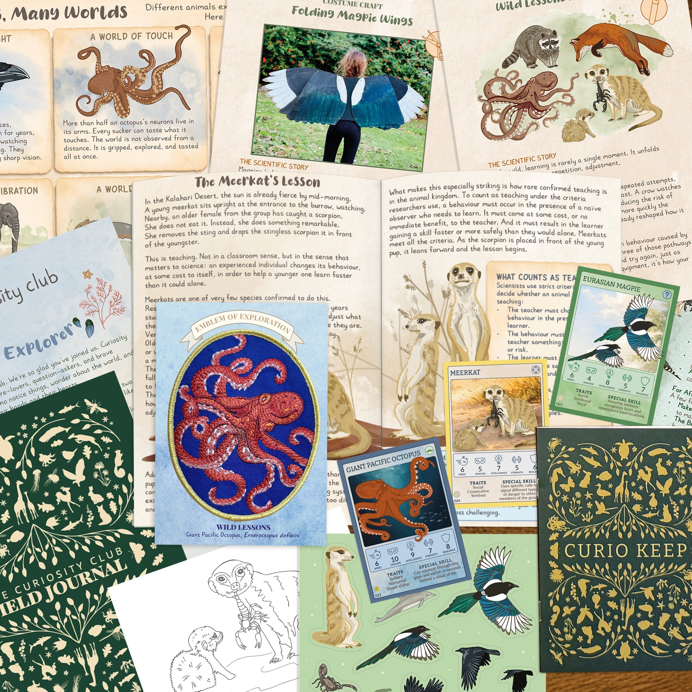 Wild Lessons Edition of Curiosity Club laid out on table