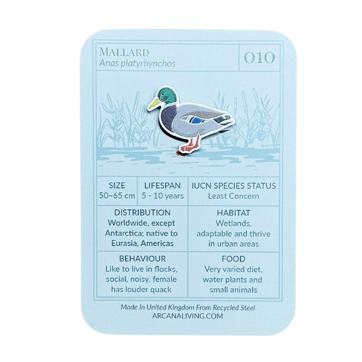 Mallard Duck Biodiversity Badge