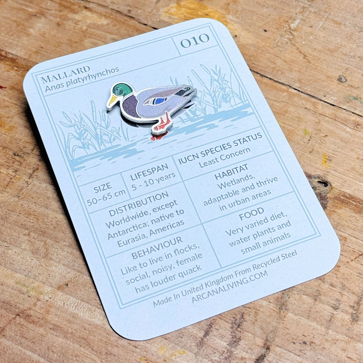 Bird Life Pin Biodiversity Badge Set