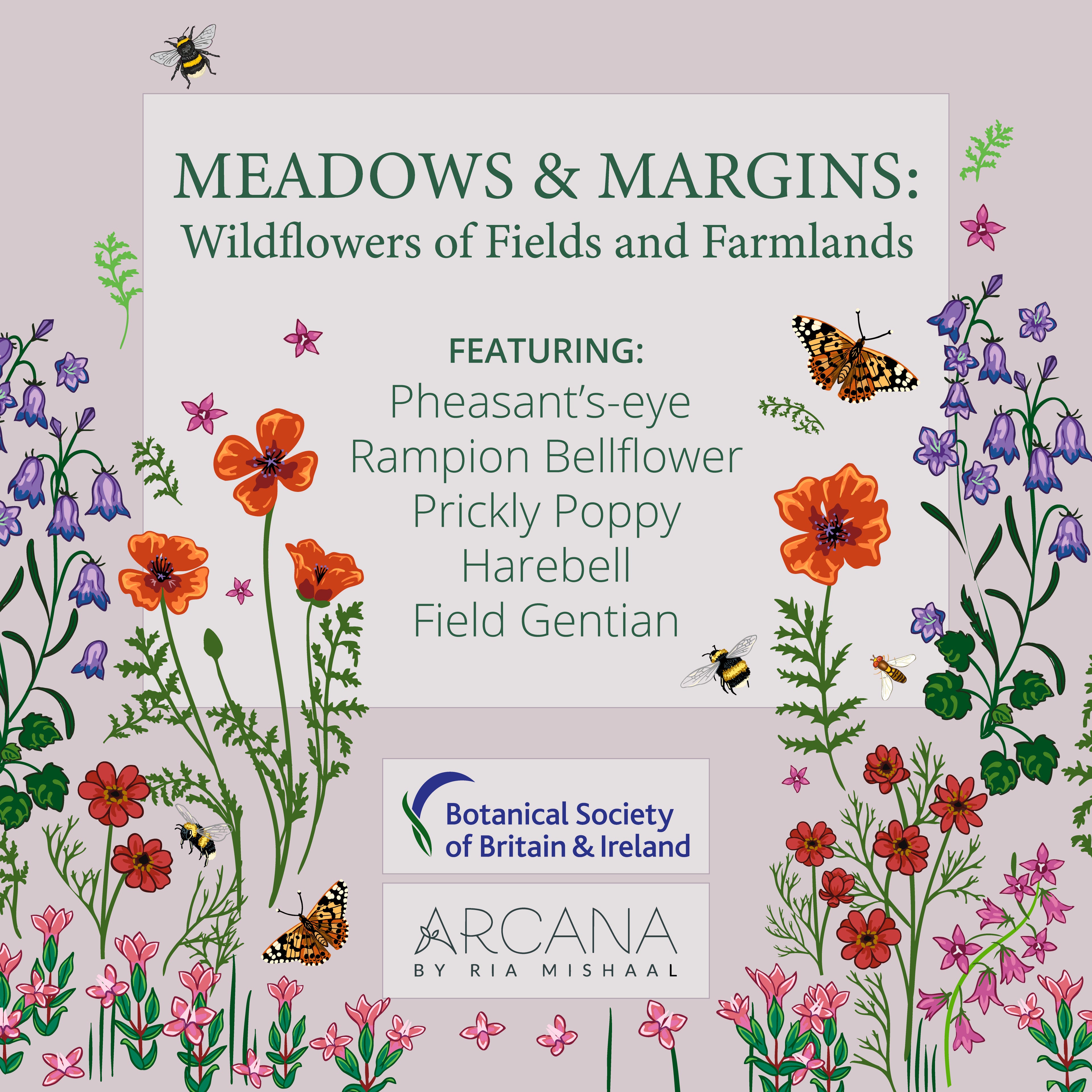 Meadows & Margins &