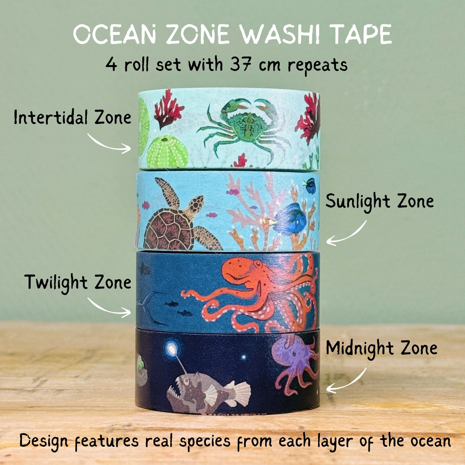Ocean Zones Washi Tape Set