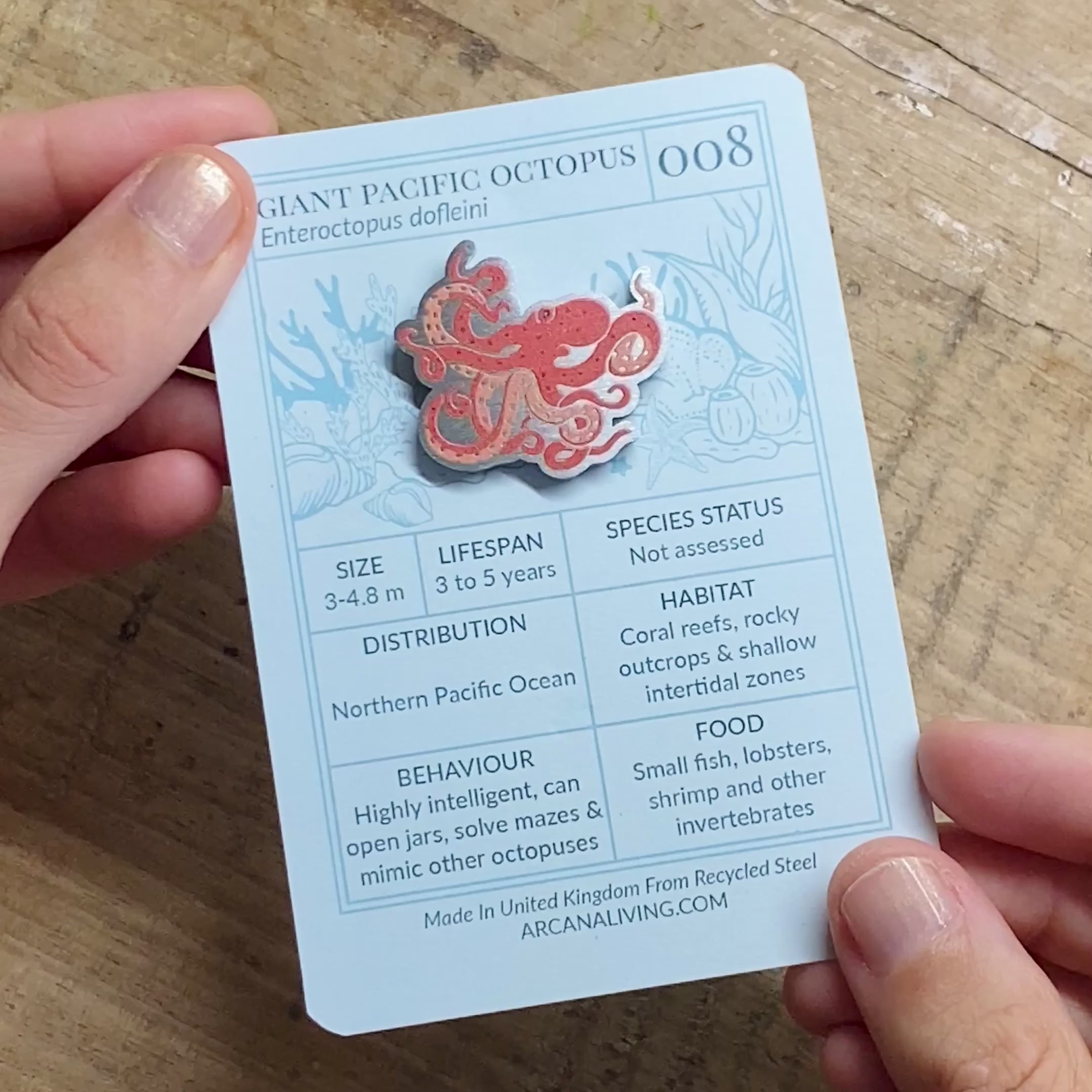 Giant Pacific Octopus Biodiversity Badge