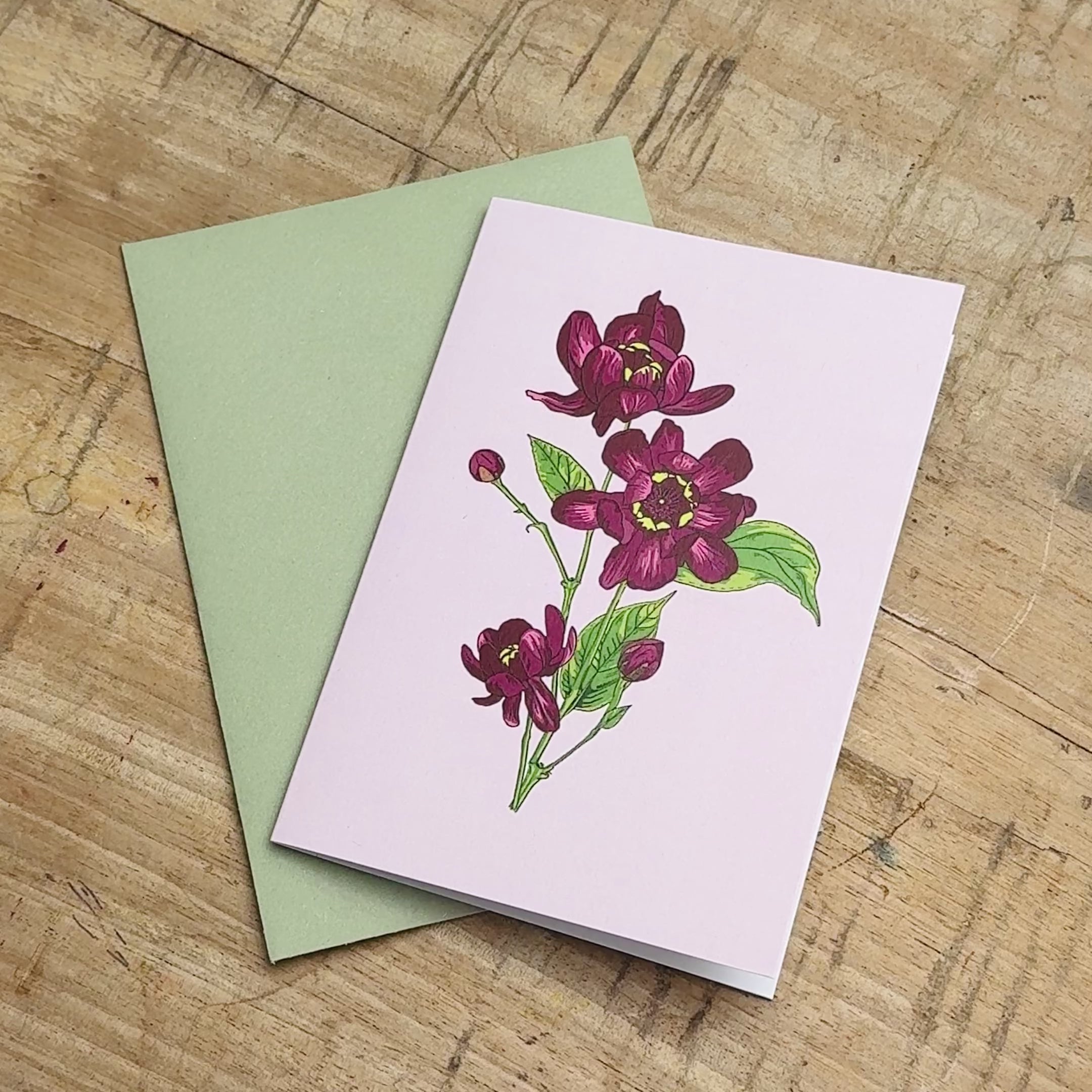 Botanical Greetings Card Set