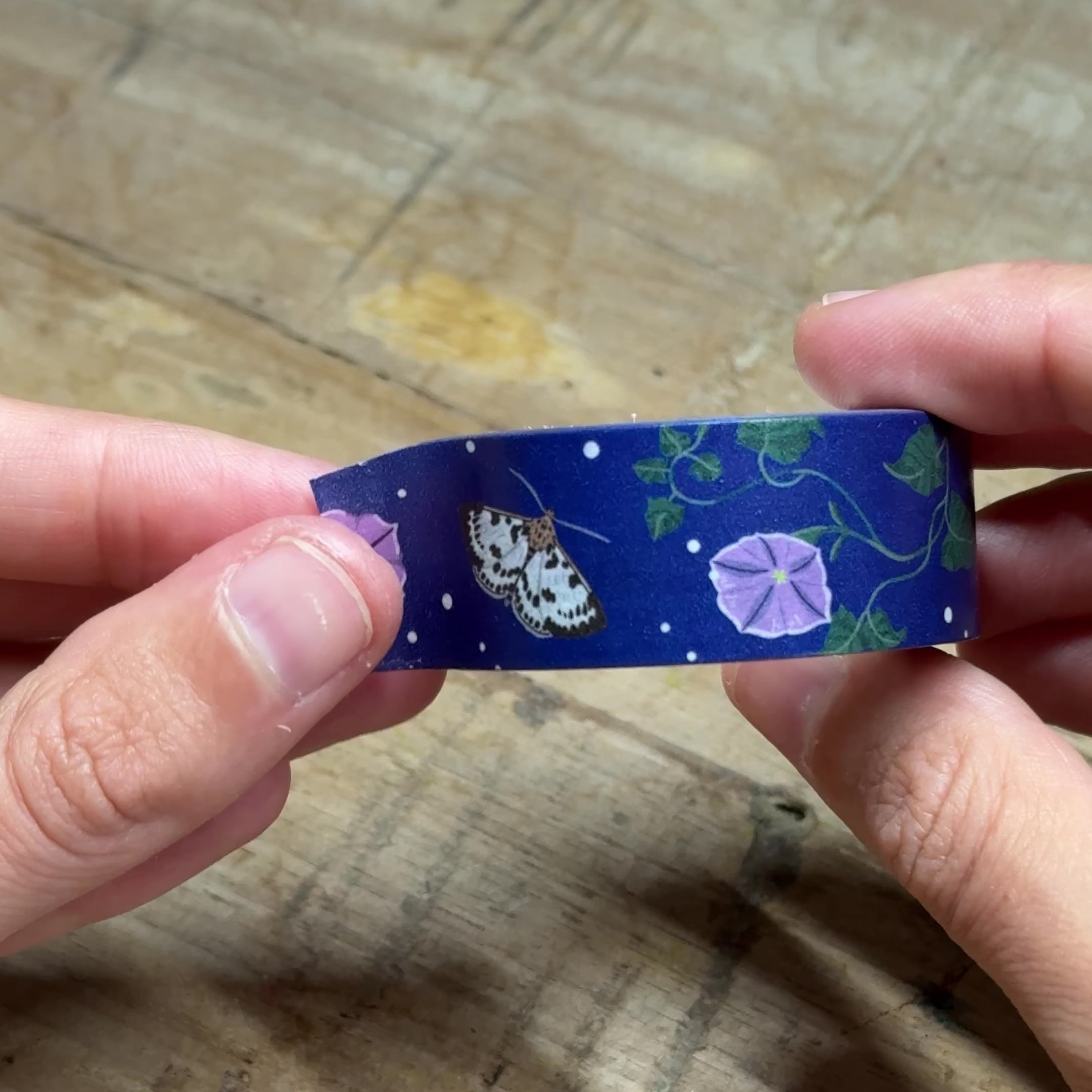 Night Garden Premium Recycled Wrapping Paper Set with Washi Tape