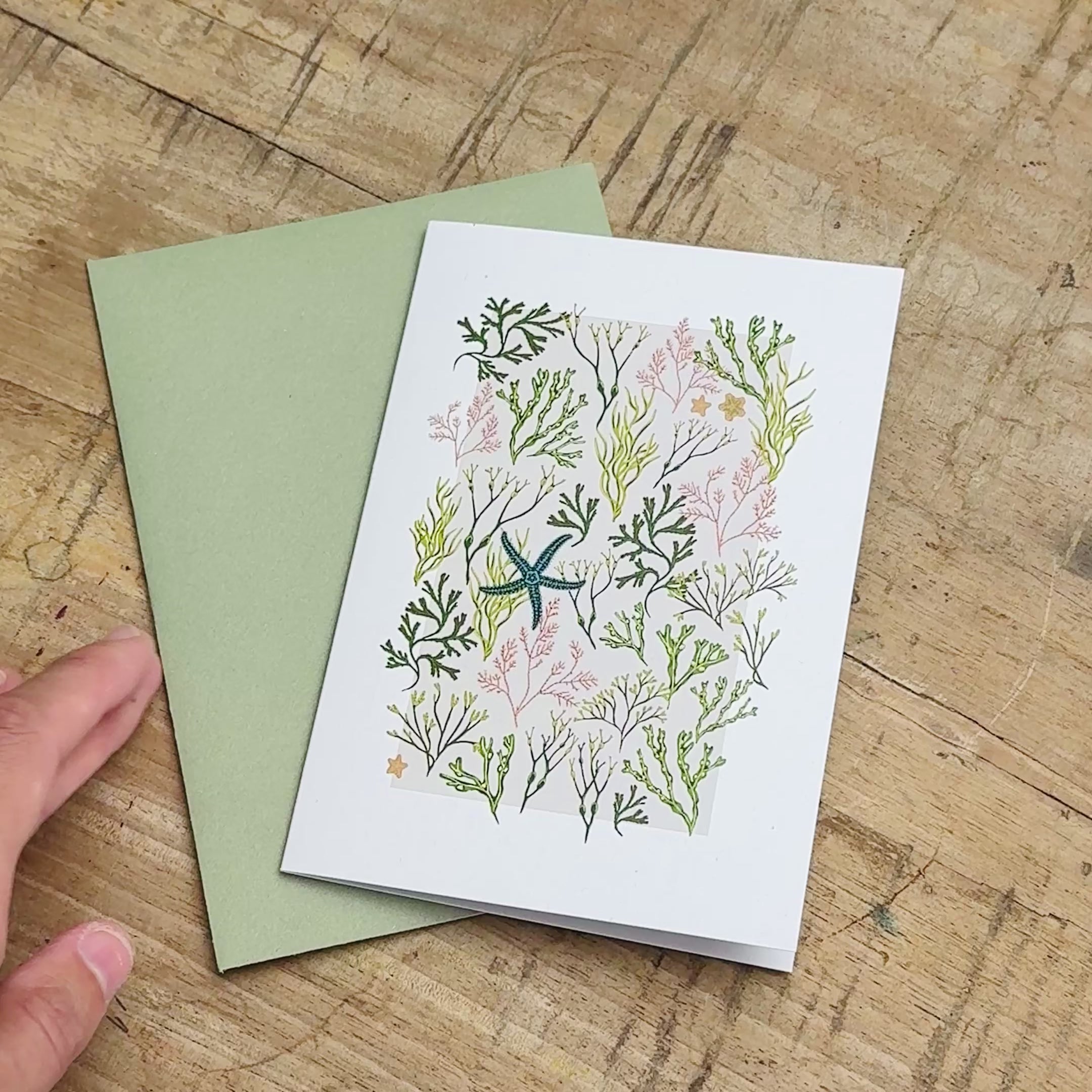Intertidal Ocean Greetings Card Set