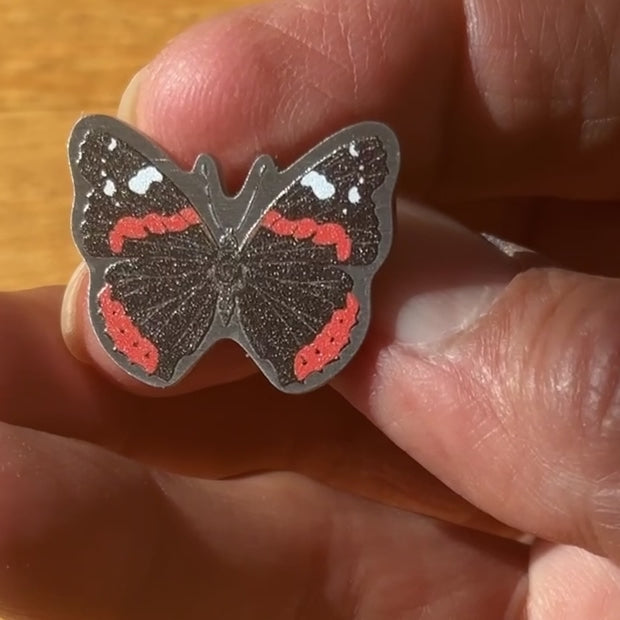 ‘Power Of Pollination’ Box (Early Summer) - Curiosity Club