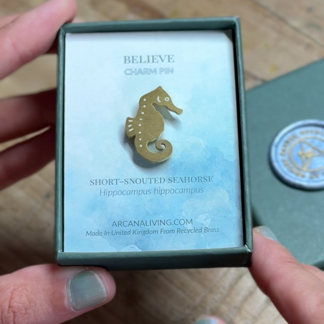 Story Set Ch 2: Tidal Realm