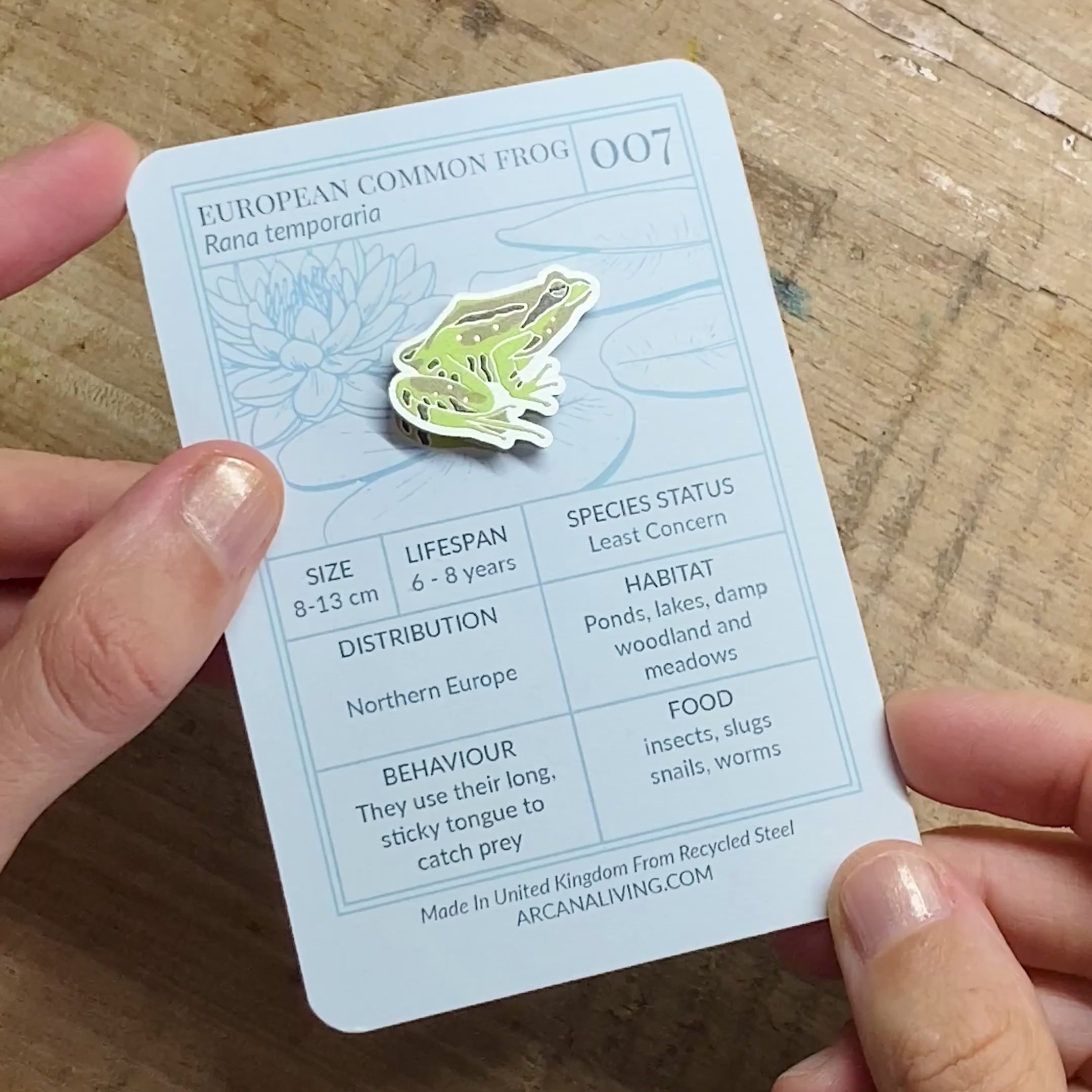 Common Frog Biodiversity Badge