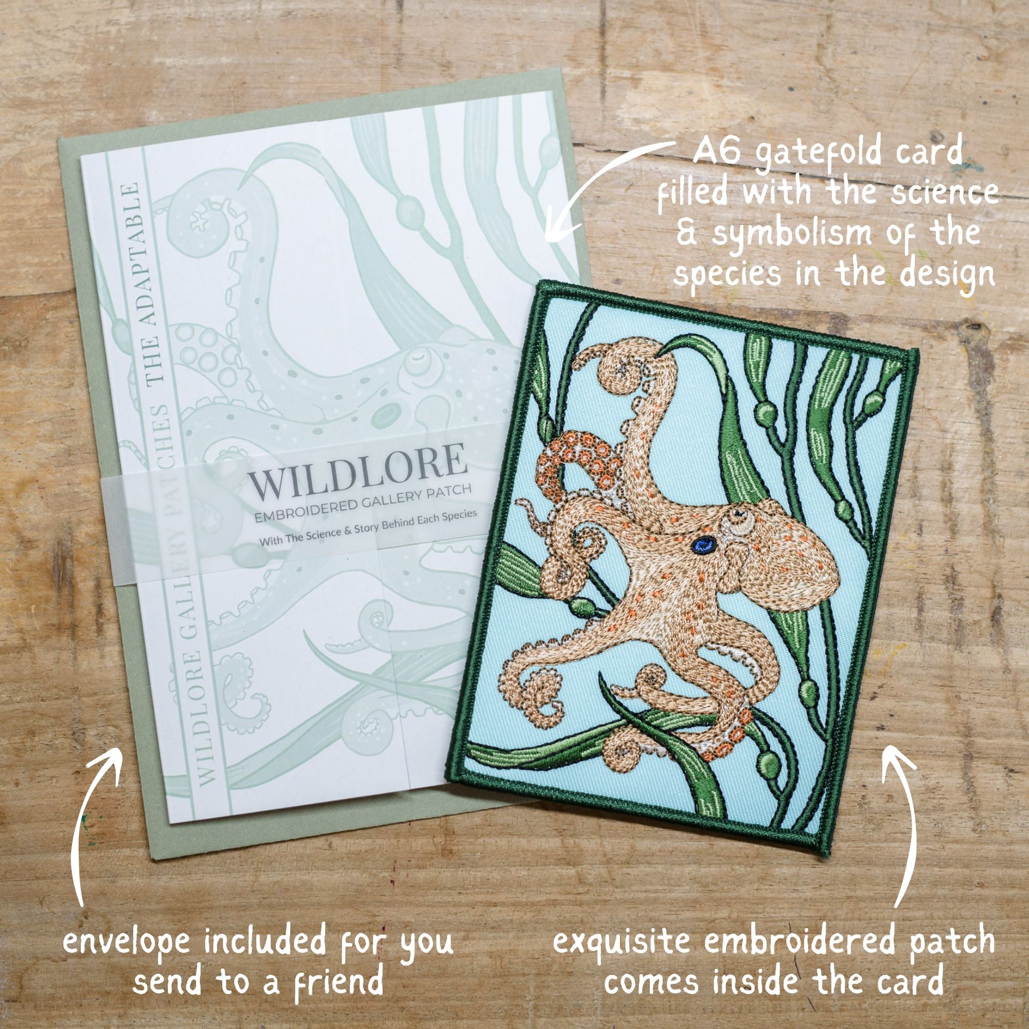 Story Set Ch 2: Tidal Realm