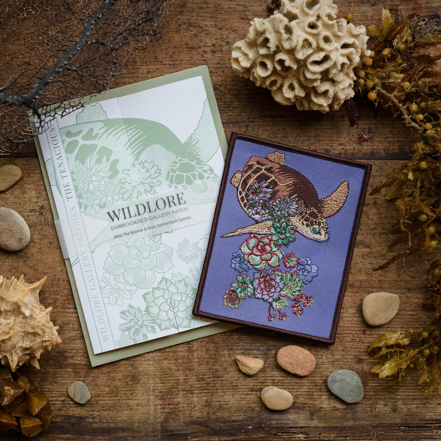 Turtle Succulent Embroidered Patch in gatefold card with science and story behind the species