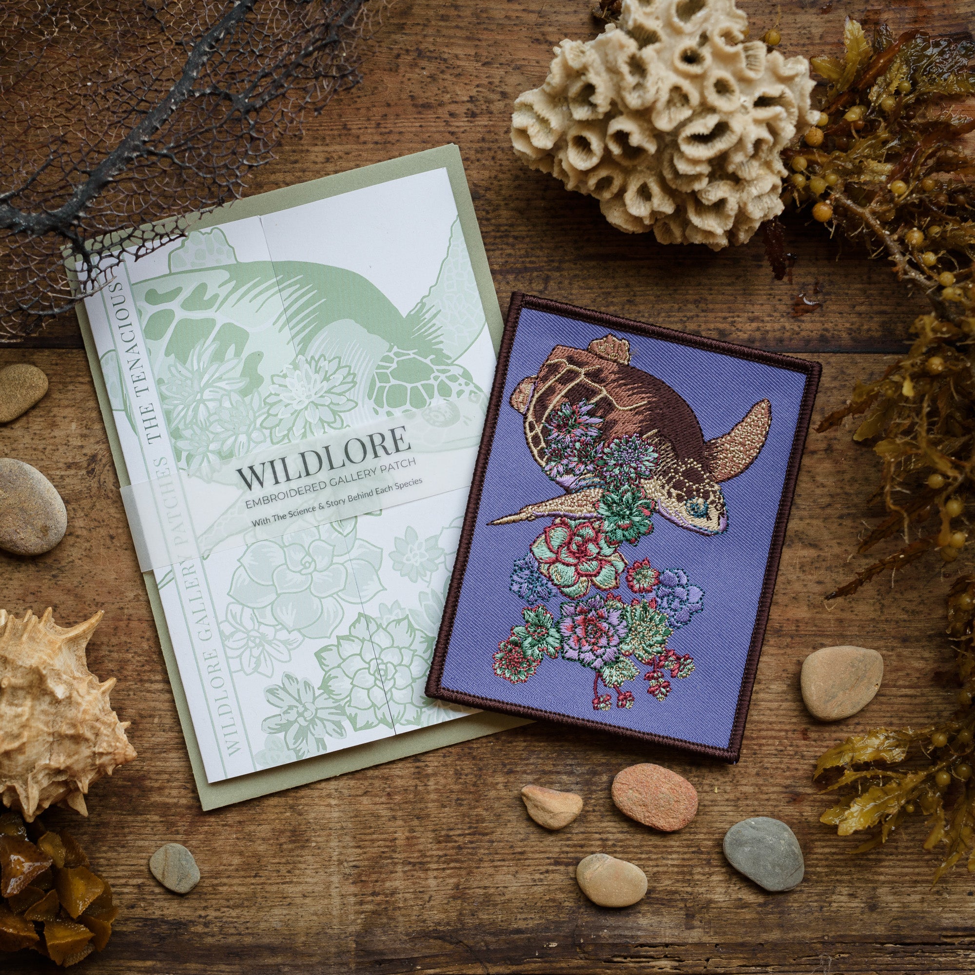 Turtle Succulent Embroidered Patch in gatefold card with science and story behind the species