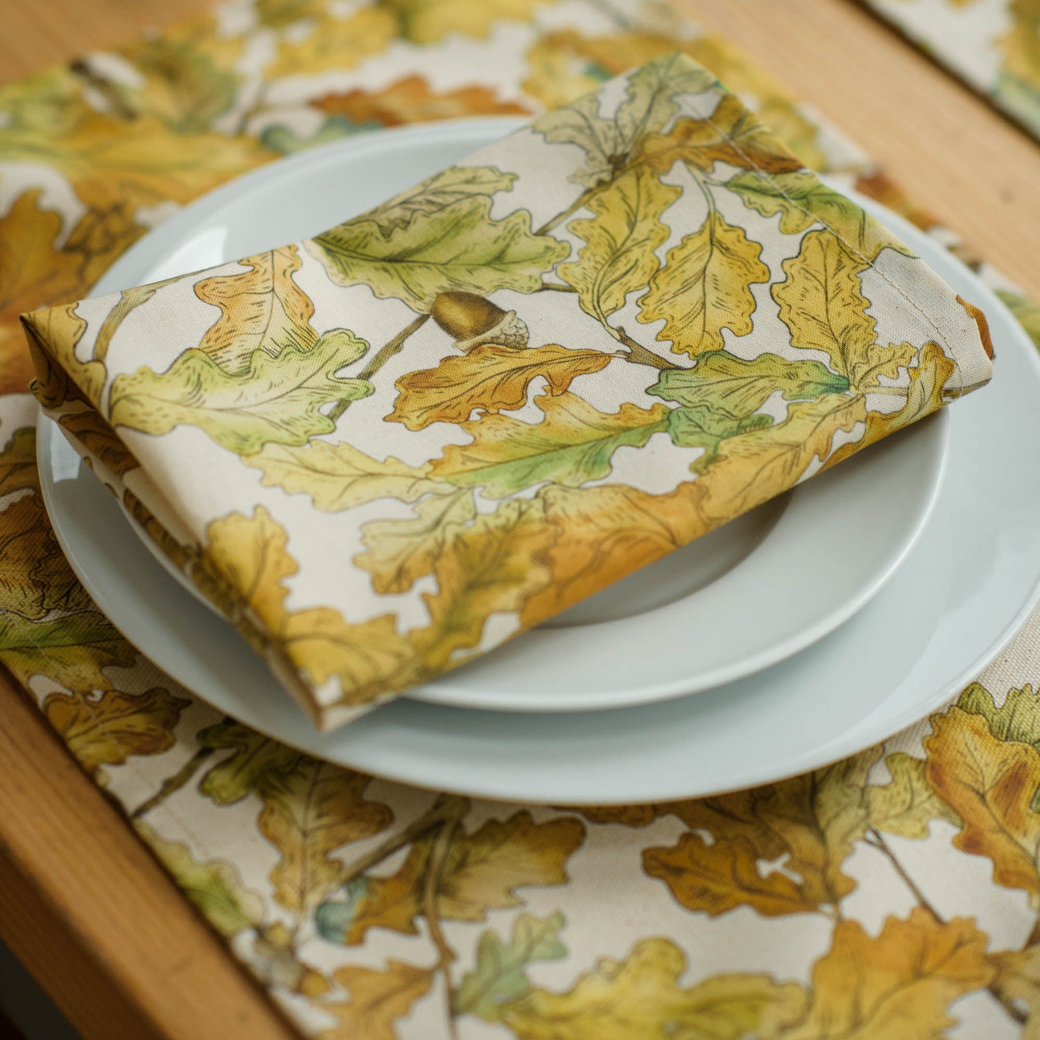 Wild Oak Organic Cotton Placemats (Set of 2)