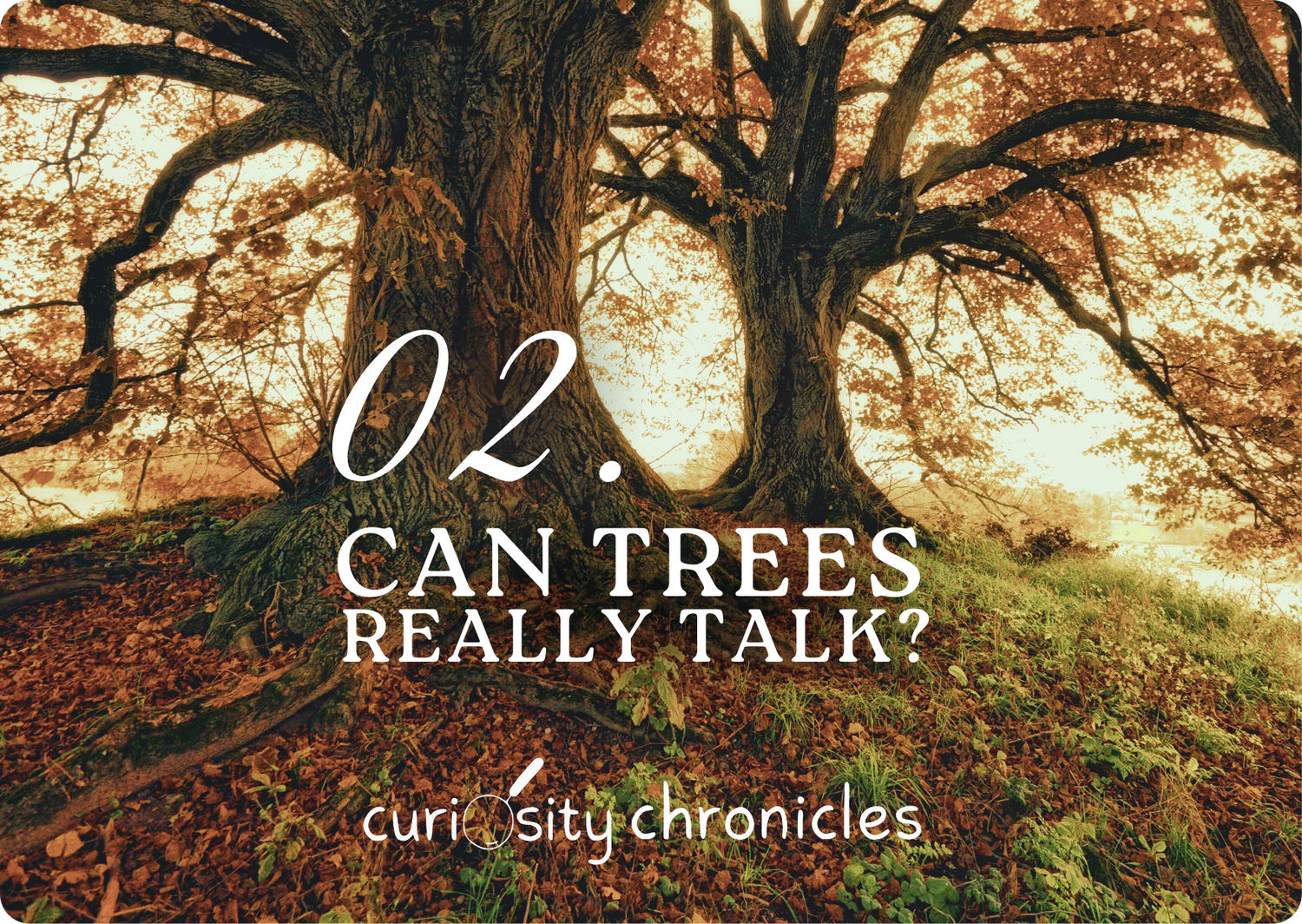 Episode 2: Can Trees Really Talk?