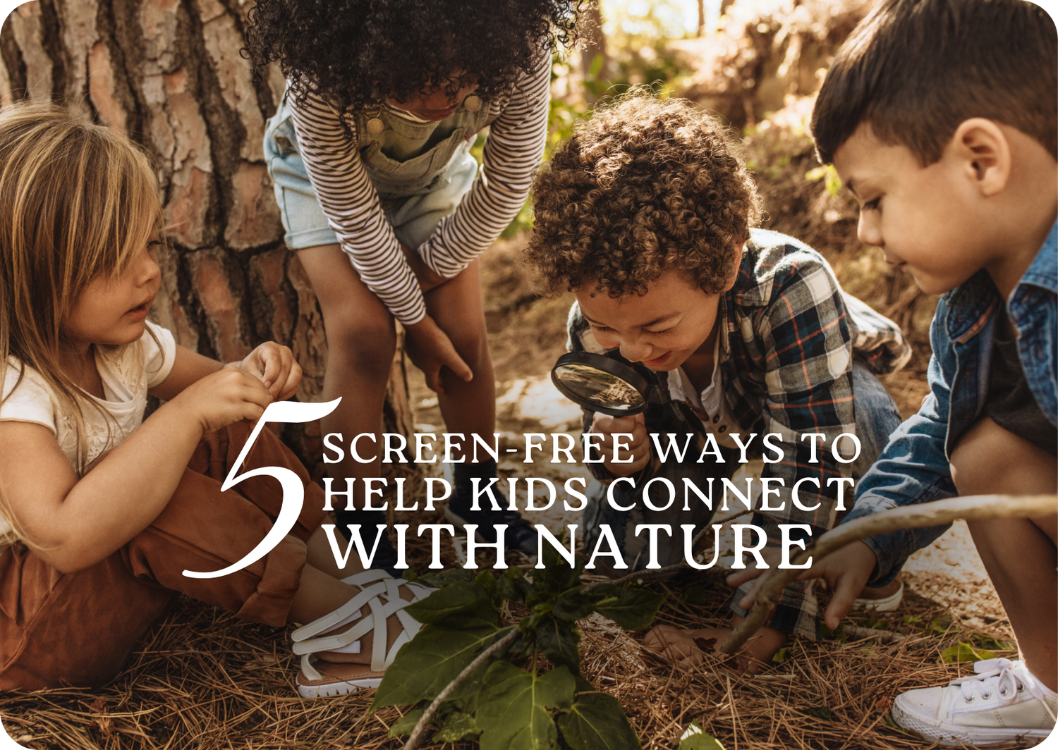 5 Screen-Free Ways to Help Kids Connect with Nature
