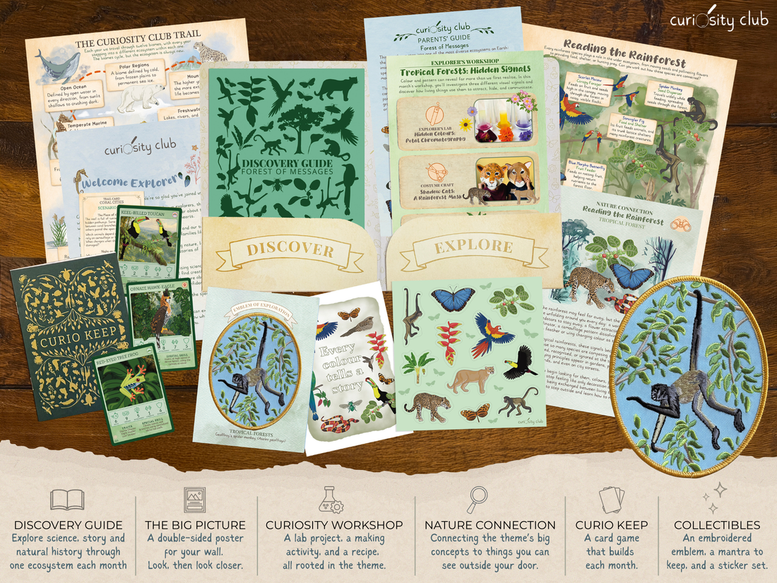 ‘Forest of Messages&