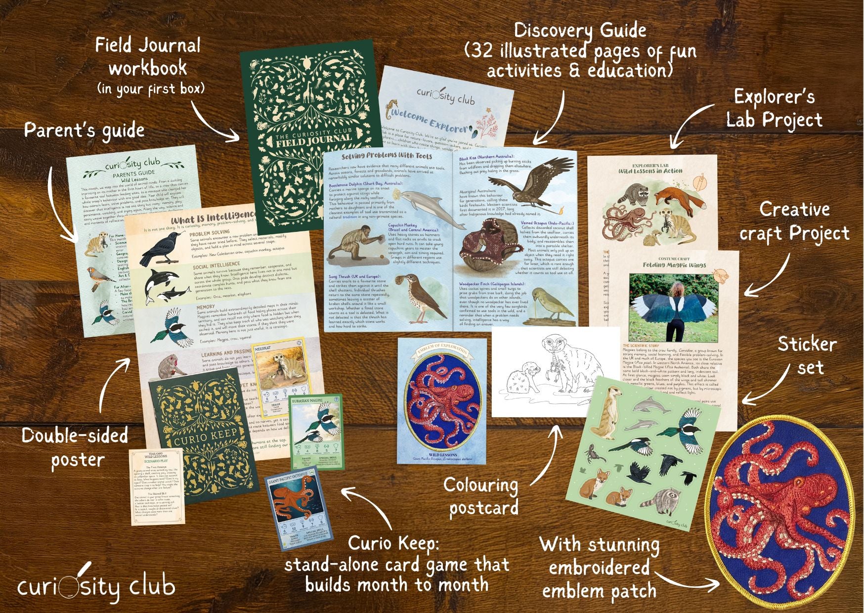 ‘Wild Lessons&