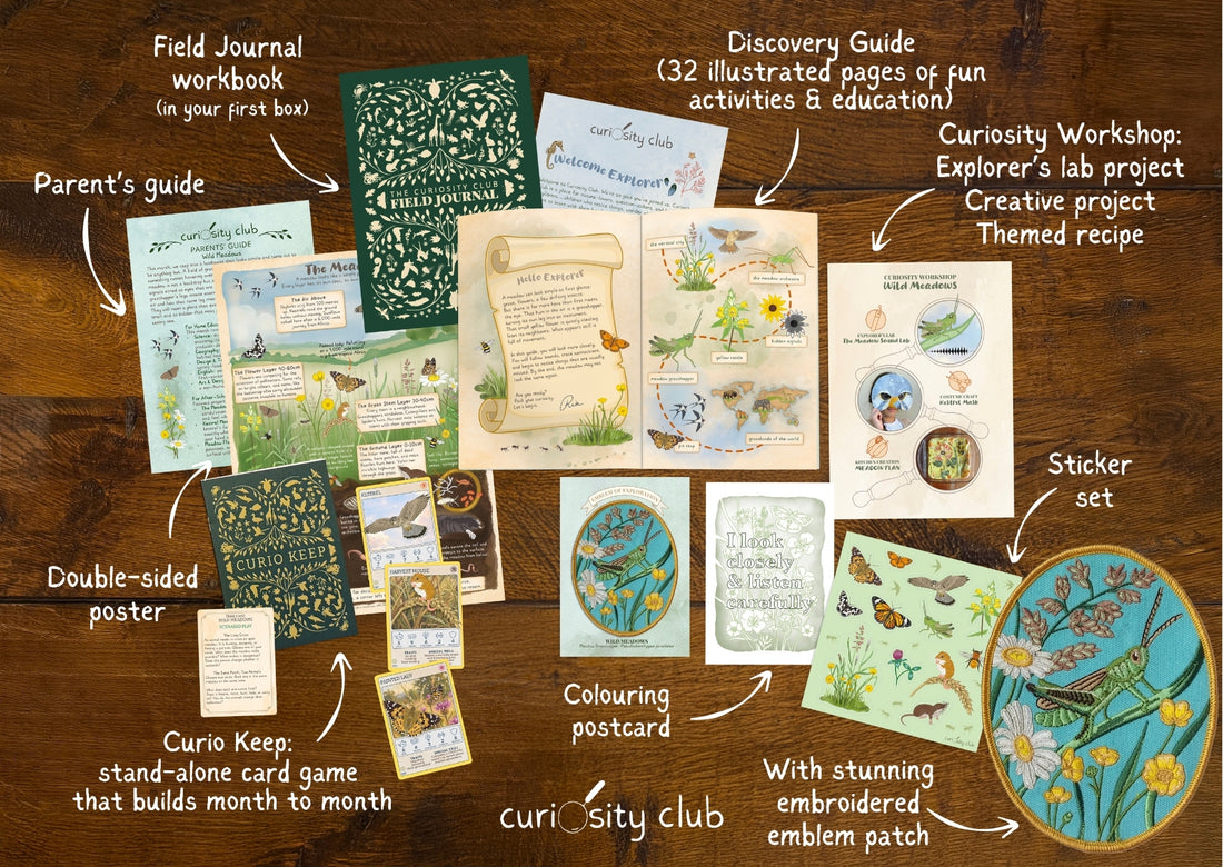 ‘Wild Meadows&