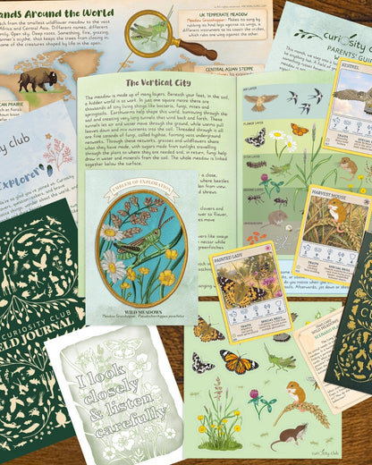 ‘Wild Meadows&