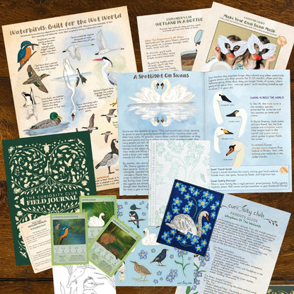 ‘Whispers Of Wetlands’ Box - Curiosity Club