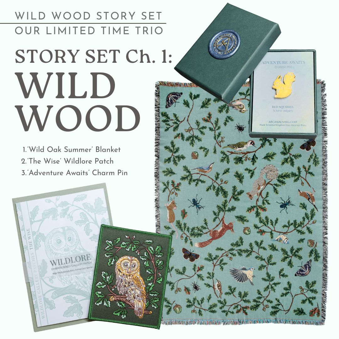 Story Set Ch 1: Wild Wood