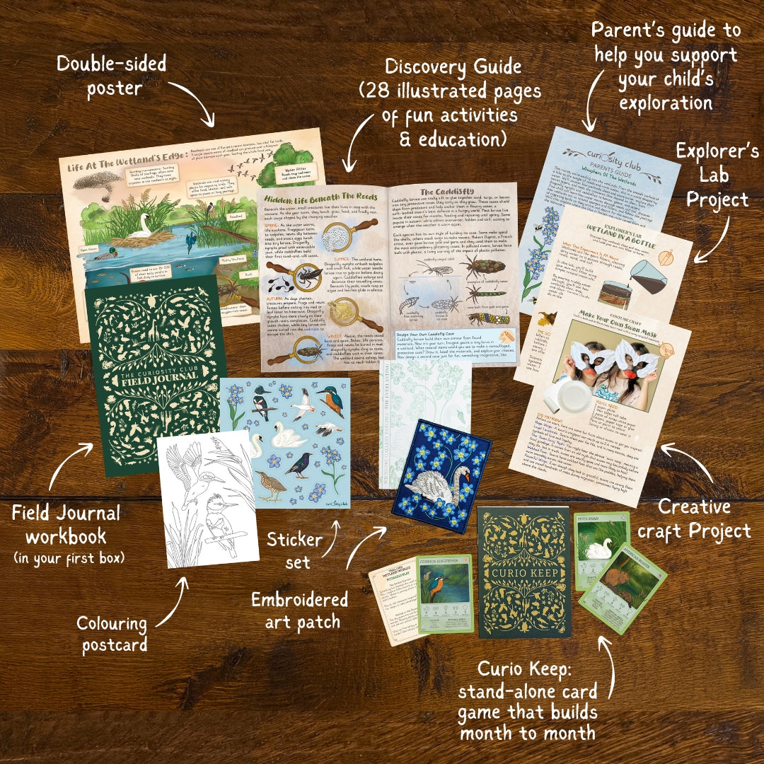 ‘Whispers Of Wetlands’ Box - Curiosity Club