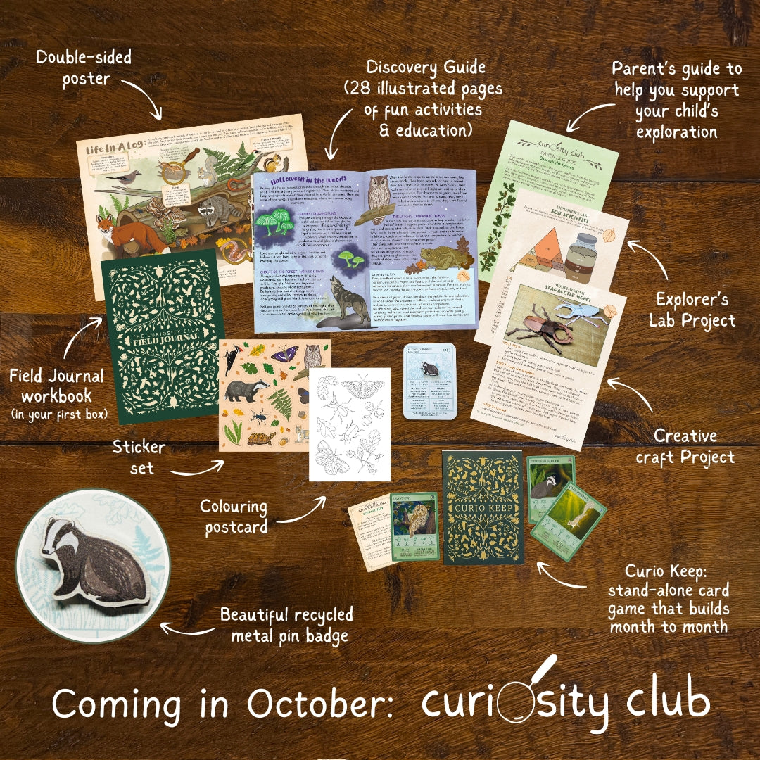 ‘Life Beneath The Leaves’ Box - Curiosity Club