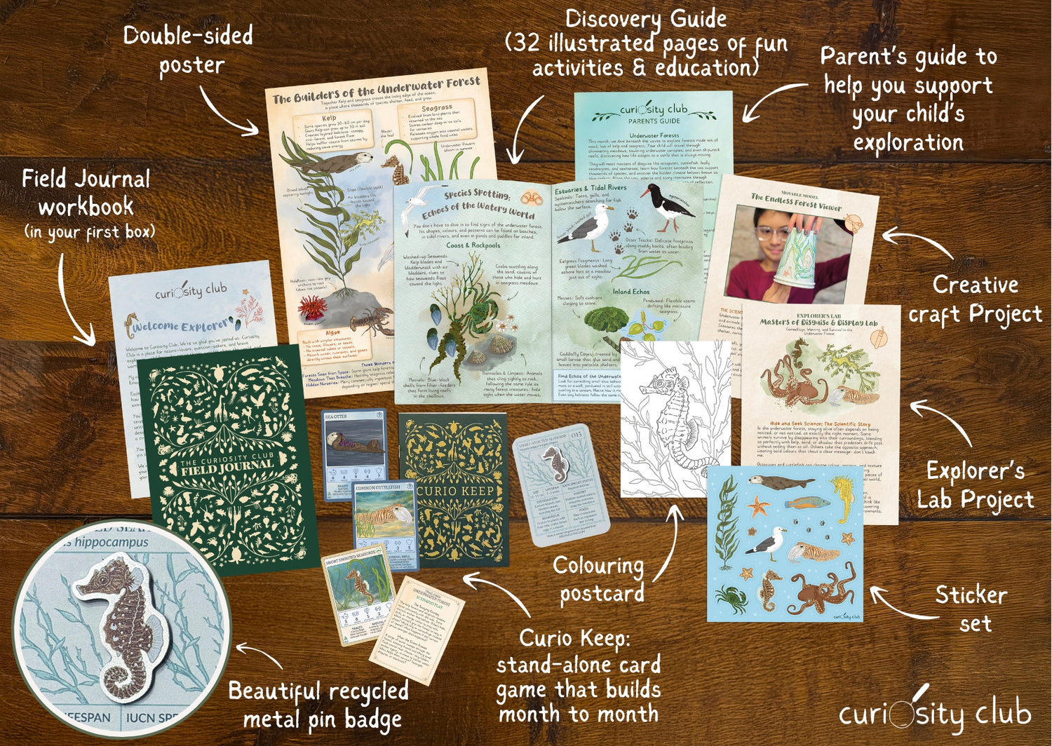 ‘Underwater Forests’ - Curiosity Club (Year 2)