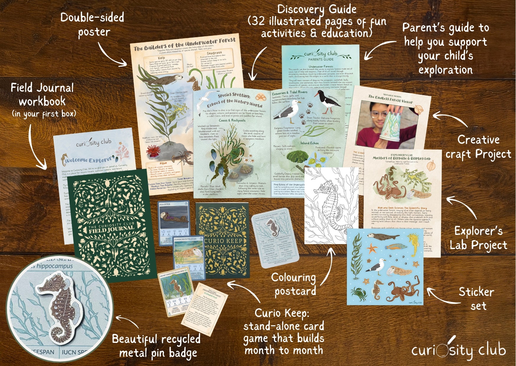 ‘Underwater Forests’ - Curiosity Club (Year 2)