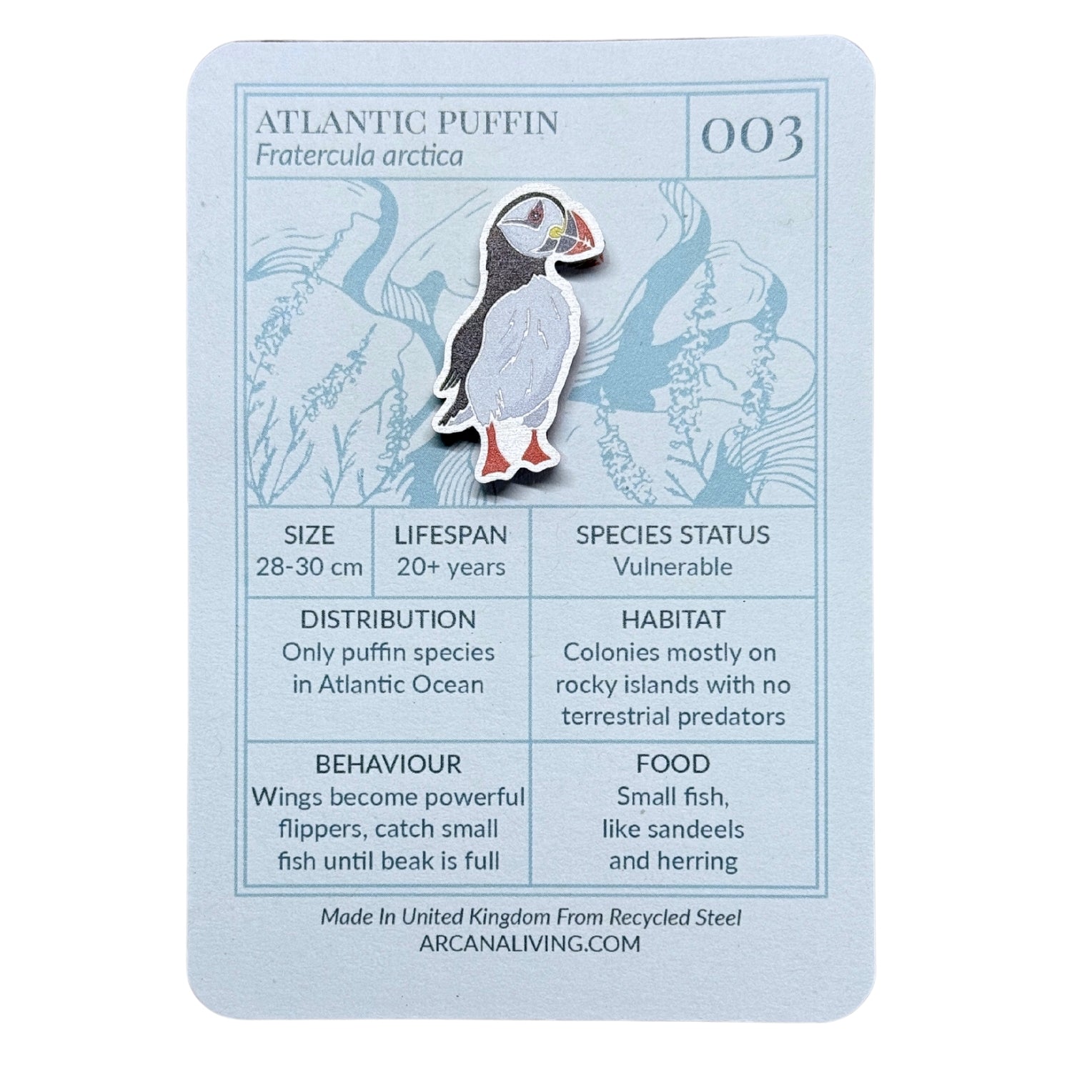 Atlantic Puffin Biodiversity Badge