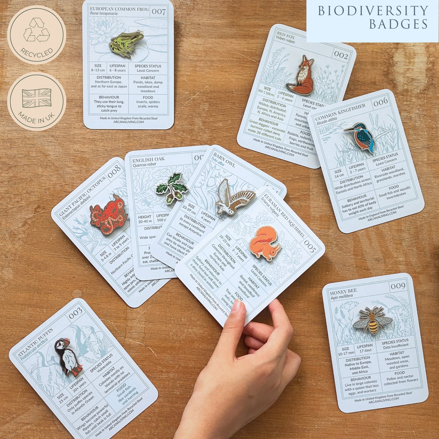 Red Admiral Butterfly Biodiversity Badge
