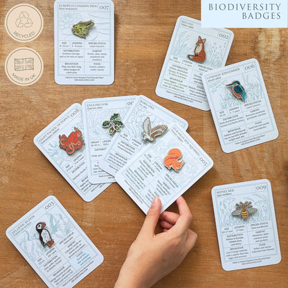 Red Admiral Butterfly Biodiversity Badge